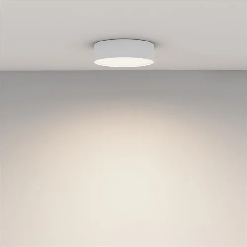 Потолочный светильник Zon 4000K 24W 120° (Белый) - фото 11