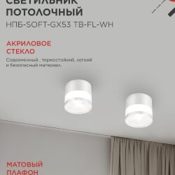 Светильник потолочный НПБ-SOFT-GX53 ТB-FL-WH под GX53 матовый плафон, 82х70мм белый IN HOME