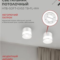 Светильник потолочный НПБ-SOFT-GX53 ТB-FL-WH под GX53 матовый плафон, 82х70мм белый IN HOME