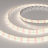Светодиодная лента FITOLUX-SE-A144-10mm 24V Day5000-Red (14 W/m, IP65, 2835, 5m) (Arlight, 14 Вт/м, IP65) 038171 - фото