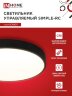 Светильник светодиодный SCANDY SIMPLE-75RCB 75Вт 230В 3000-6500K 6000Лм 400x50мм с пультом ДУ черный IN HOME - Фото 4