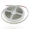 Светодиодная лента Standart PRO class, 3528, 120 led/m, Warm White, 12V, IP20, C69 - фото I