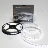 Светодиодная лента Class Premium, 5050, 120 led/m, White, 24V, IP65, А14 - фото.