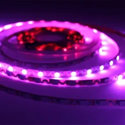 Светодиодная лента S-образная 5050, 60led/m, RGB-SPI, WS2812, 5V, IP20, BA8