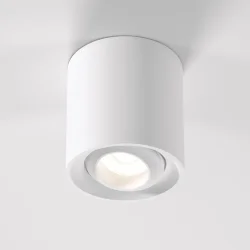 Накладной потолочный светильник 25041/LED (062934)