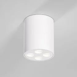 Светильник потолочный светодиодный Points 7W 4000K белый 25111/LED (067483)