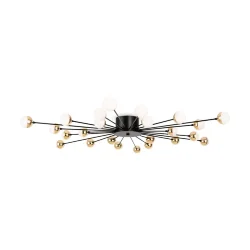 Потолочный светильник Знаменитость / Celebrity (Черный) FR5242CL-24B