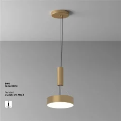 Потолочный светильник Zon 4000K 24W 120° (Матовое Золото)