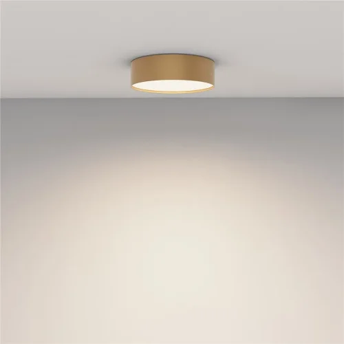 Потолочный светильник Zon 4000K 24W 120° (Матовое Золото) - фото 8