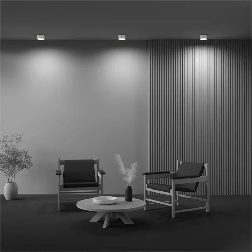 Потолочный светильник Zon 2700K 12Вт 120° (Белый) - фото 6