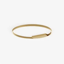 Потолочный светильник Rim 2600-3500К 51Вт (Латунь)