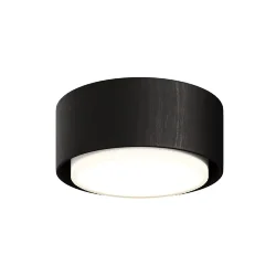 Потолочный светильник NUVOLT LDL-008BW (Черное дерево)