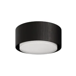 Потолочный светильник NUVOLT LDL-008BW (Черное дерево)