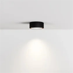 Потолочный светильник NUVOLT LDL-008BW (Черное дерево)