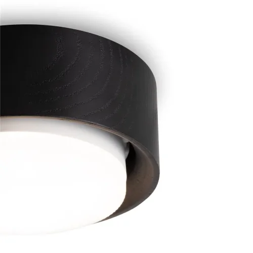 Потолочный светильник NUVOLT LDL-008BW (Черное дерево) - фото 24