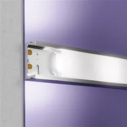 Светодиодная лента 24В 5050 12Вт/м 6000K 5м IP20 (Белый)