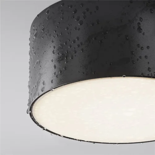 Потолочный светильник Зон / Zon IP 4000 15Вт IP 65 (Черный) O430CL-L15B4K - фото 5