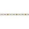Светодиодная лента RT 2-5000 12V White6000 2x (5060, 300 LED, LUX) (Arlight, 14.4 Вт/м, IP20) - фото 3