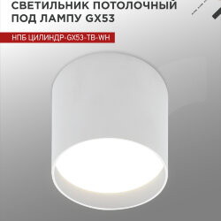 Светильник потолочный НПБ ЦИЛИНДР-GX53-TB-WH под лампу GX53 90х90мм белый IN HOME