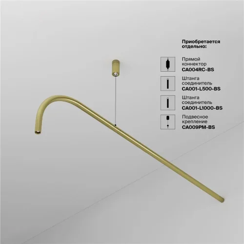 Светильник Eye для системы освещения Axity 3000К/6000К 3Вт 45° (Латунь) - фото 12