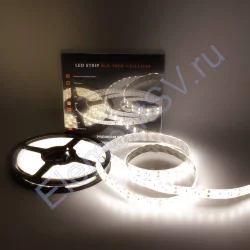 Светодиодная лента Class Premium, 5050, 120 led/m, Day White, 24V, IP65, А12