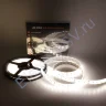 Светодиодная лента Class Premium, 5050, 120 led/m, Day White, 24V, IP65, А12 - фото 2.