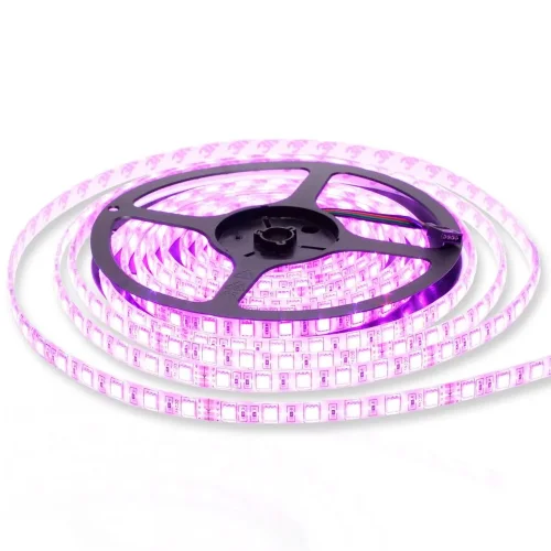 Светодиодная лента Standart PRO class, 5050, 60 led/m, RGB, 24V, P79, IP65 - фото I
