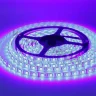 Светодиодная лента Standart PRO class, 5050, 60 led/m, RGB, 24V, P79, IP65 - фото IV