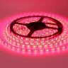 Светодиодная лента Standart PRO class, 5050, 60 led/m, RGB, 24V, P79, IP65 - фото V
