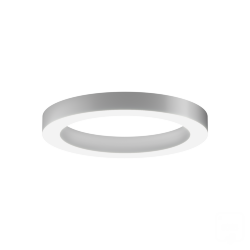 Светильник 6063 кольцо (RAL/625mm/LT70) – только корпус