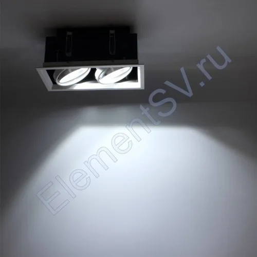 Светодиодный светильник карданный AR90-2 OD2 (220V, 2х20W, white) - фото 2.