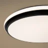 Потолочный светильник FR6086CL-L117B Пирог / Pie 96 Вт LED с пультом ДУ (Черный) FR6086CL-L117B - фото 4