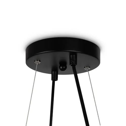 Подвесной светильник Freya FR5222PL-08B (Черный) - фото 4