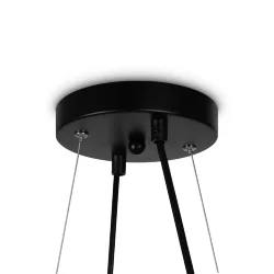 Подвесной светильник Freya FR5222PL-08B (Черный)
