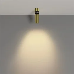Потолочный светильник Фокус / FOCUS LED 12 Вт 2700 К 50° (Латунь) C055CL-L12W2.7K-W-BS