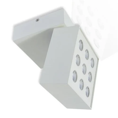 Накладной светодиодный светильник SW (9W, Day White) - фото I