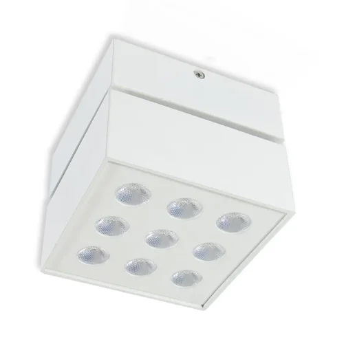 Накладной светодиодный светильник SW (9W, Day White) - фото II