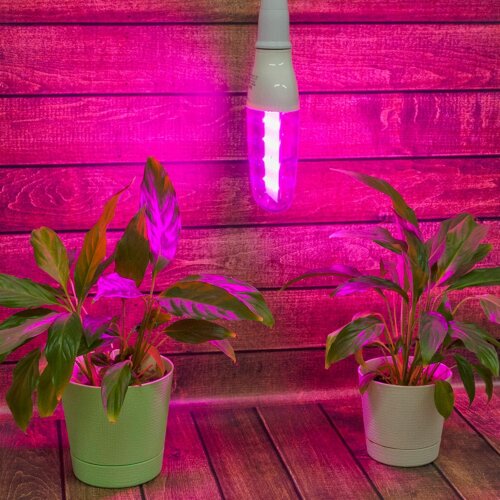 LED-B82-12W-SPBR-E27-CL PLP33WH Лампа светодиодная для растений, Форма DOUBLESIDE, прозрачная, Спектр для рассады и досвечивания в период роста - фото 4