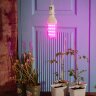 LED-B82-12W-SPBR-E27-CL PLP33WH Лампа светодиодная для растений, Форма DOUBLESIDE, прозрачная, Спектр для рассады и досвечивания в период роста - фото 5