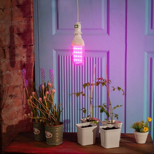 LED-B82-12W-SPBR-E27-CL PLP33WH Лампа светодиодная для растений, Форма DOUBLESIDE, прозрачная, Спектр для рассады и досвечивания в период роста - фото 3