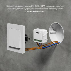 Двухканальное Wi-Fi реле-выключатель 2 x 2300 Вт / 2 x 250 Вт для LED, Denkirs RL1002-SM