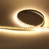 Светодиодная лента Standart class N051 2835, 120led/m, Warm White, 12V, IP20 - фото I