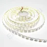Светодиодная лента Standart PRO class, 5050, 120 led/m, Day White, 24V, IP20, D306 - фото.