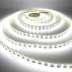 Светодиодная лента Standart PRO class, 5050, 120 led/m, Day White, 24V, IP20, D306