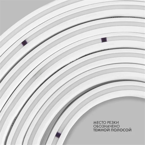 Шнур светодиодный гибкий неон LED SMD 8х16мм 120LED/м бел. (уп.100м) Neon-Night 131-045 - фото 6