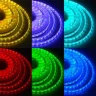 Светодиодная лента Standart PRO class, 5050, 60 led/m, RGB, 24V, P125, IP68 - фото I
