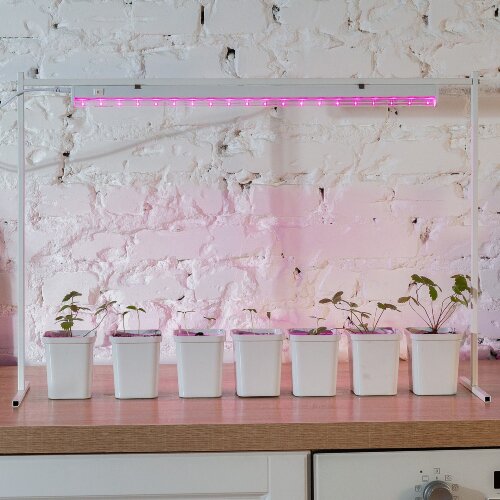 ULI-P28-11W-SPSB IP20 WHITE Светильник для растений светодиодный линейный, 570мм, выкл, на корпусе, Пластик, Спектр для рассады и цветения, TM ФитоЛето - фото 5