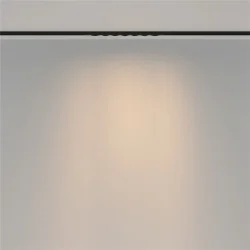 Трековый светильник Шип / Spiky Basity 3000K/6000K 12Вт 36° (Черный) TR175-1-12WTW-M-B