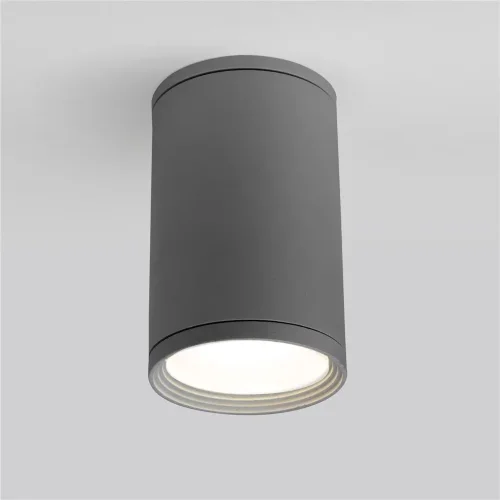 Уличный потолочный светильник Light IP65 35128/H серый - фото