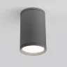 Уличный потолочный светильник Light IP65 35128/H серый - фото